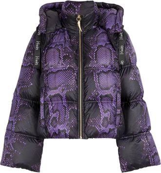 Roberto Cavalli Python Print High Neck Padded Jacket, Brand Size 42 ( US Size 8 )