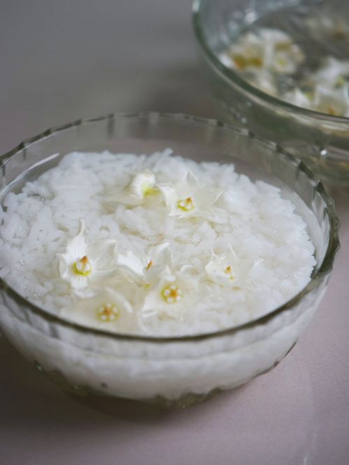 Glasschale mit Wasser, Reis und Bumen.