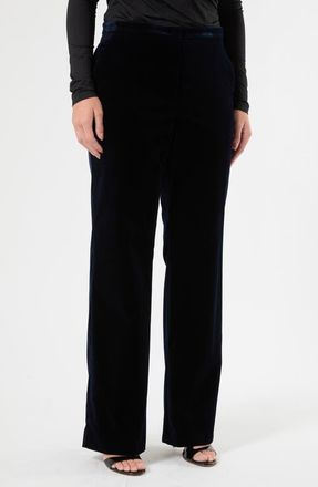 Marina Rinaldi Mitico Stretch Velvet Straight Leg Trousers in Midnight Blue at Nordstrom, Size 20W