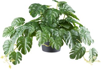 Creativ Green Kunstpflanze