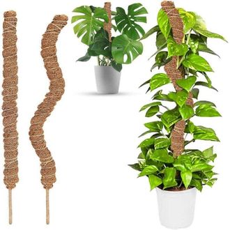 OEM Soportes Plegables Para Plantas, Soporte De Coco De 60 Cm De Largo Para Plantas Trepadoras, Soporte Para Plantas Trepadoras Monstera-crezuo