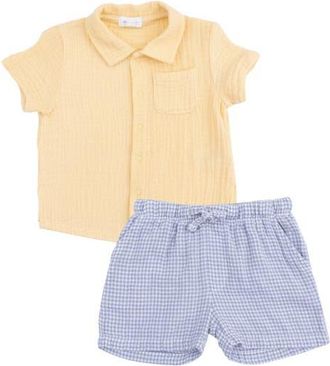 Angel Dear Organic Cotton Muslin Snap-Up Shirt & Gingham Shorts Set in Off White Blue at Nordstrom, Size 18-24M