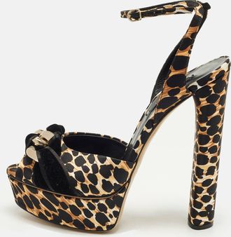 Casadei Casadei