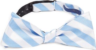 Clifton Wilson Stripe Silk Bow Tie in Blue at Nordstrom