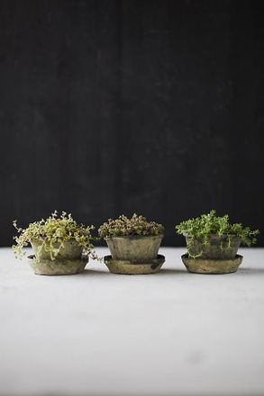 Terrain Earth Fired Clay Thin Rim Pot + Saucer, Set of 3