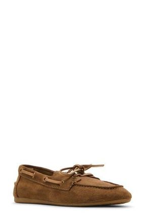 Steve Madden Sag Boat Shoe in Taupe Sued at Nordstrom Rack, Size 8.5