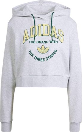 adidas (WMNS) adidas VARSITY Graphic Hoodie Asia Sizing Grey IT9846