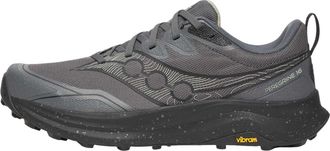 Saucony Peregrine 16 GTX Carbon Black S21066-101