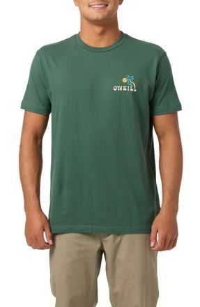 O'Neill Castaway Graphic T-Shirt in Cilantro at Nordstrom, Size Xx-Large