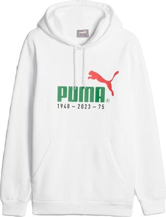 Puma No.1 Logo Celebration Hoodie White 676021-02
