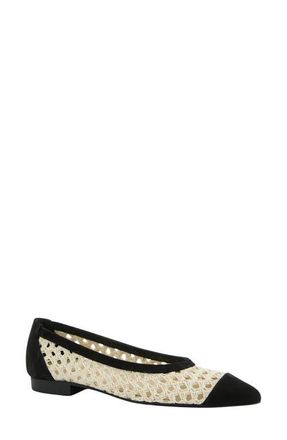 Paul Green Daisy Pointed Toe Flat in Black Nature Diva Nubuk at Nordstrom, Size 10.5Us
