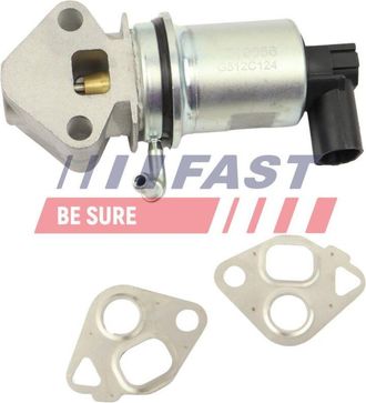 OEM V&aacute;lvula Egr Ft10056 R&aacute;pida