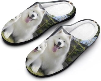 Generic Samoyeds Mens Slippers Comfortable And Non-slip Cotton Slipper Shoe for House