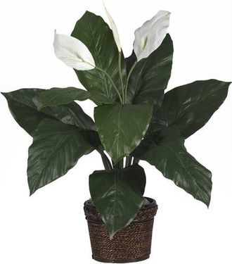 Nearly Natural Spathiphyllum with Wicker Artificial Plant in Green at Nordstrom