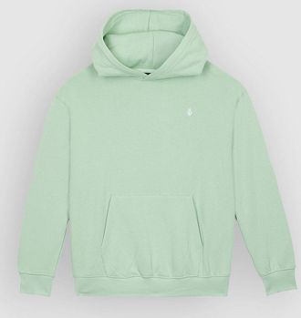 Volcom Single Stone Po Kids Hoodie groen
