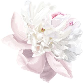 Queence Wandtattoo »Matilda« Wandbild, Sticker, Blume, Blüte, selbstklebend