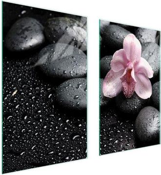 OEM Placa Protectora De Vidrio Para Estufa 75x52 Orqu&iacute;dea