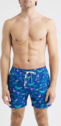 Chubbies The Swamp & Circumstance 5.5-Inch Swim Trunks in Bright Blue at Nordstrom, Size X-Large