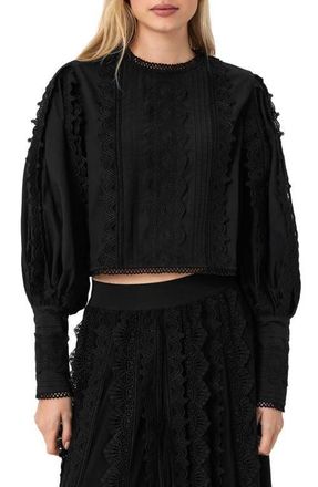 AllSaints Hart Lace Embroidered Bishop Sleeve Top in Black at Nordstrom, Size 12 Us