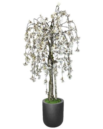 Creative Displays Inc. 6Ft White Cherry Blossom Tree In Round Fiberstone Planter