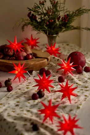 Terrain Stargazer Moravian Star String Lights, Red