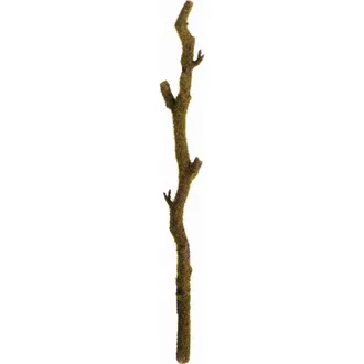 Napa Home & Garden Moss Green Plastic Branches 24 Set of 2 at Nordstrom