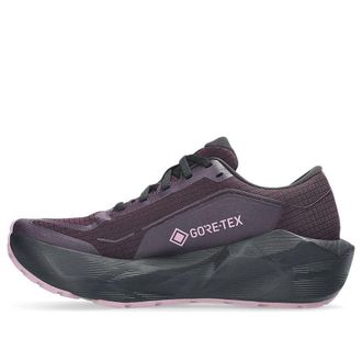 Asics (WMNS) ASICS Novablast 6 GTX Dark Aubergine Black 1012C021-500