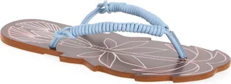 Farm Rio Palmtree Flip Flop in Blue Multi at Nordstrom, Size 10