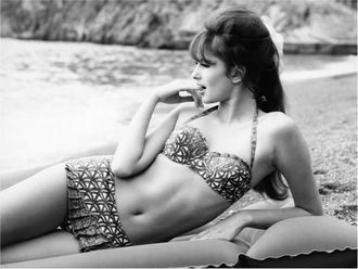 Schubiger M&ouml;bel Bildsystem Woman Sunbathing