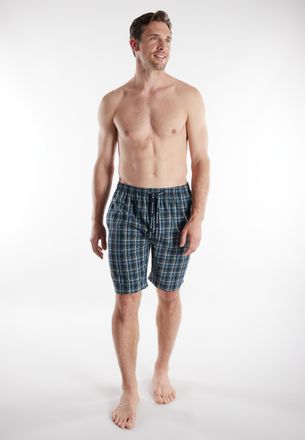 Tom Tailor Bermudas TOM TAILOR, Herren, Gr. 48, N-Gr, blau, mittel, karo, Popeline, Obermaterial: 100% Baumwolle, Hosen Bermudas