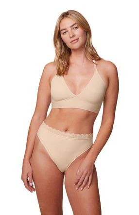 Harper Wilde Bliss Lace Halterneck Bralette in Beige at Nordstrom, Size 4X-Large