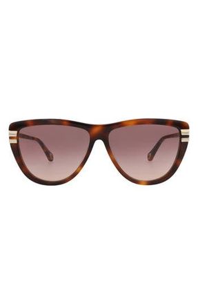 Chlo&eacute; 59mm Square Sunglasses in Havana Havana Red at Nordstrom Rack