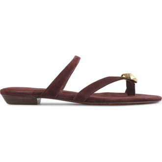 Madewell The Mila Hardware Toe Loop Slide Sandal in Espresso Bean at Nordstrom, Size 8.5