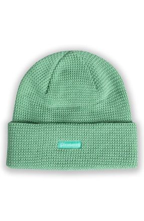 Pleasures Old E Waffle Beanie in Matcha at Nordstrom