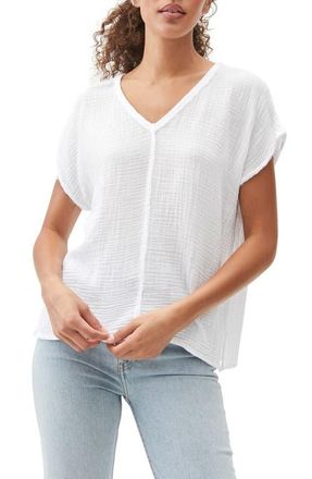 Michael Stars Draya V-Neck T-Shirt in White at Nordstrom, Size X-Small