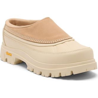 Sorel Daystorm Clog in Canoe/Bleached Ceramic at Nordstrom, Size 7.5