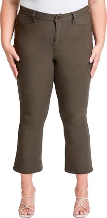 YMI Jeans Women´s Plus Hyperstretch Cropped Kick Flare Pants, Dark Olive, 1X