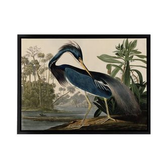 Artery8 Audubon Birds Louisiana Heron Framed Canvas Wall Art Print | Size: W24 x H32
