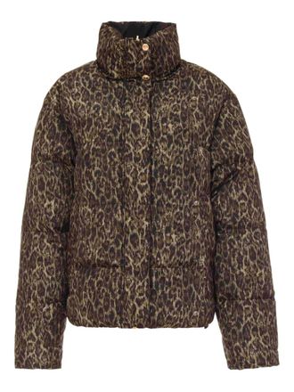Just Cavalli Donsjack met luipaardprint - Bruin