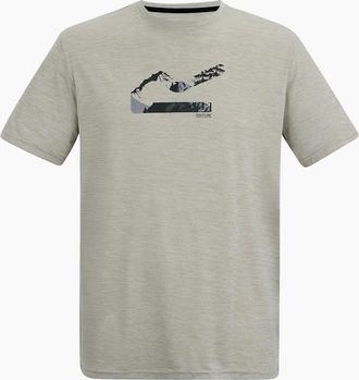 Regatta Mens Regatta Mens Fingal Landscape Marl T-Shirt - Grey - Size: 36