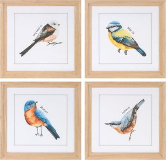 Melrose International Framed Bird Print Under Glass (Set of 8) - Blue, Yellow, White