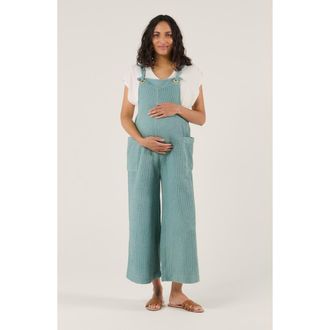 Cache Coeur Maternity and Nursing Dungaree Maya in Green at Nordstrom, Size Xx-Large