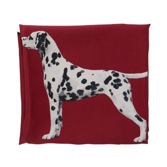 Ralph Lauren Accessoires, Dames, Rood, ONE Size, Sjaal met motieven en logo