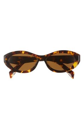 Prada 56mm Oval Sunglasses in Dark Brown at Nordstrom