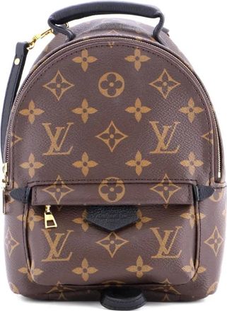 Louis Vuitton Palm Springs Monogram Canvas Mini backpack - Bruin