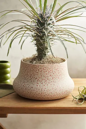 Terrain Terracotta Tall Rim Planter