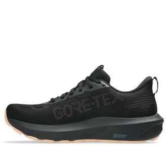 Asics (WMNS) ASICS GT-1000 14 Gore Tex Black Misty Pine 1012B857-002