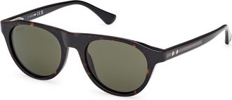 Web Eyewear Web WE0377 52N Mens Sunglasses Tortoiseshell Size 51