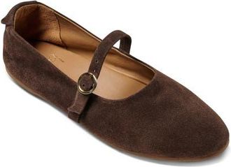 beek Snipe Mary Jane Flat in Coffee at Nordstrom, Size 10