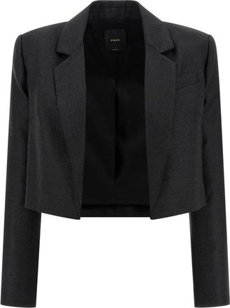 Pinko Pinko, Dames, Jassen, Grijs, Maat: XS Wol